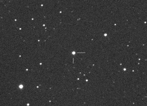 XO-3, hosting exoplanet XO-3b codiscovered at the Virtual Telescope