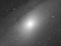 M 31