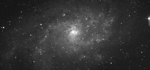 M 33