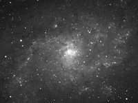 M 33