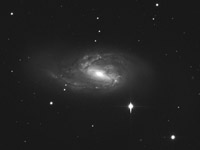 M 66