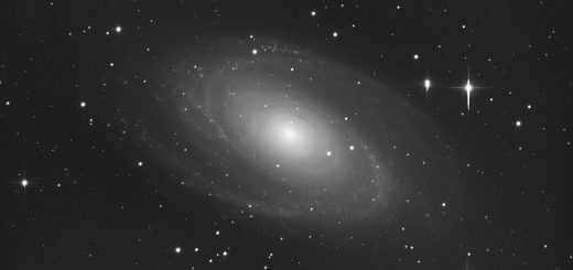 M 81