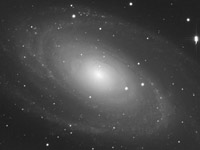 M 81