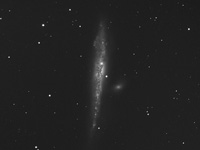 NGC 4631