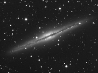 NGC 891