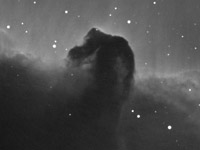 The Horsehead Nebula