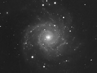 M 74