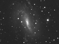 NGC 925