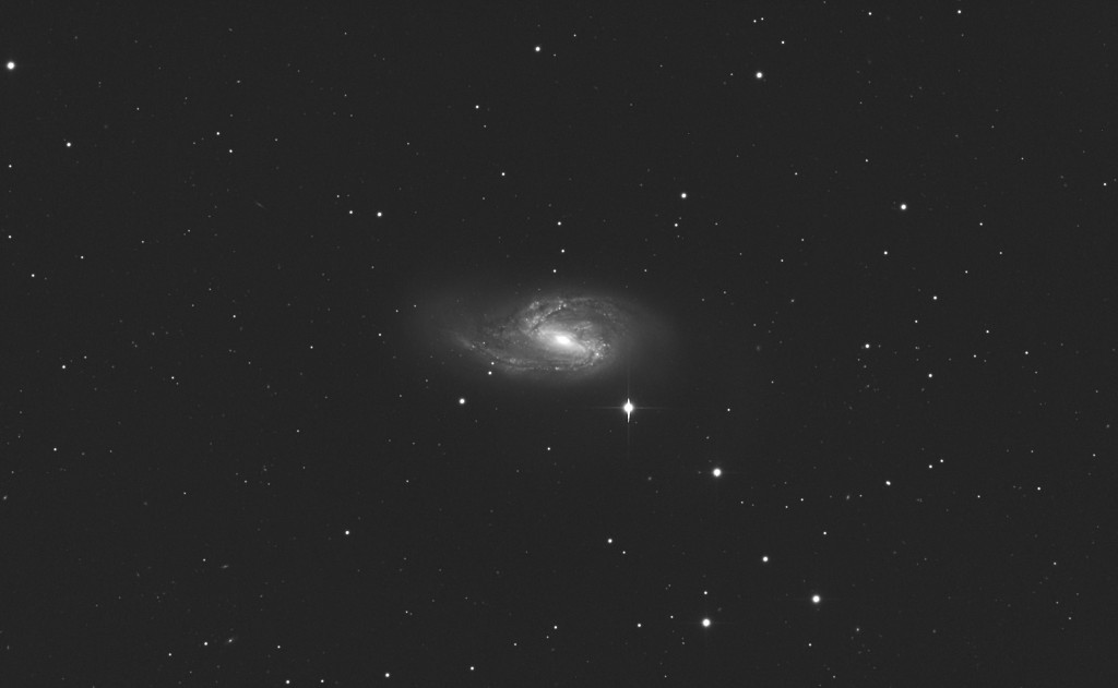 Messier 66, imaged with the 17" robotic unit