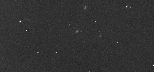 PSN J11095567+3657025 in NGC 3542: 17 May 2013