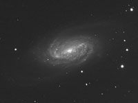 NGC 2903