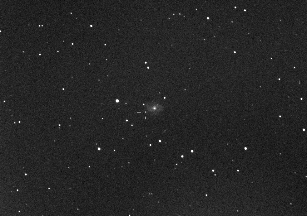 PSN J02224207+2816012 in IC 221: 28 Aug. 2013