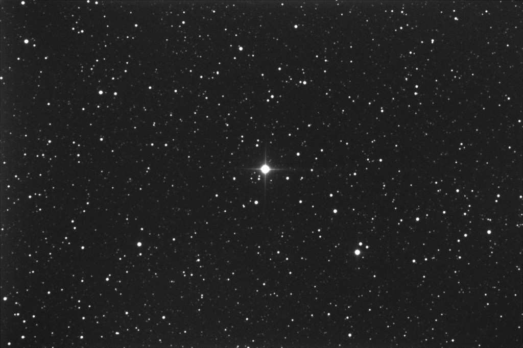 Nova Del 2013: 25 Aug. 2013