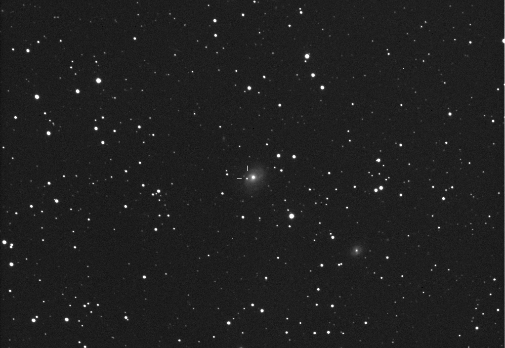 Supernova PSN J21134481+1334335 in NGC 7042: 25 Oct. 2013