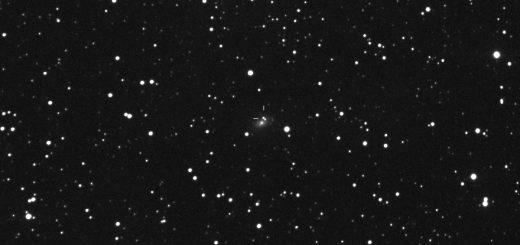 Supernova PSN J22042153 in UGC 11895: 21 Oct. 2013