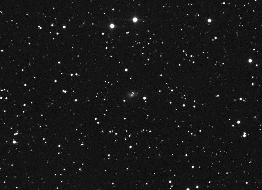 Supernova PSN J22042153 in UGC 11895: 21 Oct. 2013