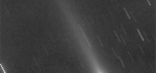 Comet C/2012 S1 Ison: 10 Nov. 2013