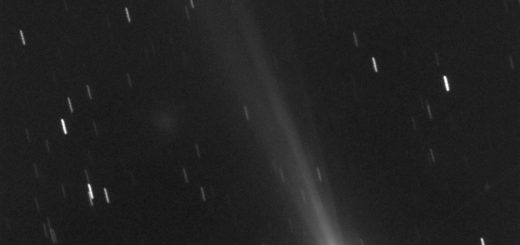 Comet C/2012 S1 Ison: 14 Nov. 2013