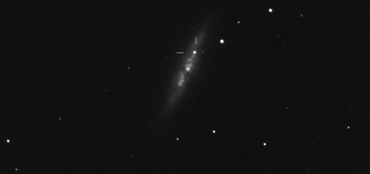 Supernova suspect PSN J09554214+6940260 in Messier 82