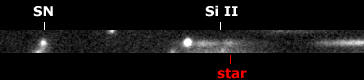 Supernova SN 2014K in PGC 24869,a spectrum: 25 Jan. 2014