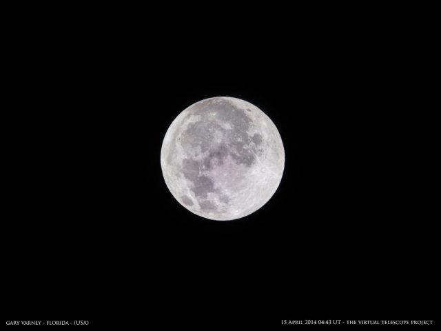 The Full Moon, still waiting for the Earth's shadow. Image by Gary Varney, shared live via The Virtual Telescope Project