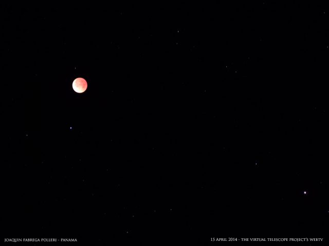 The Red Moon, totally eclipsed, did not "eclipsed" other beauties. This image captures the bright, bluish light of Spica and the rusty hue of planet Mars, on the right. Image by Joaquin Fabrega Polleri, shared live via The Virtual Telescope Project