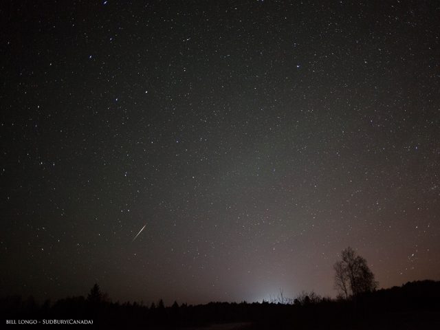 Camelopardalids - image by Bill Longo, Sudbury, Canada