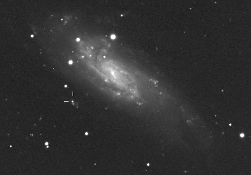 NGC 4559: a possible luminous blue variable (LBV)
