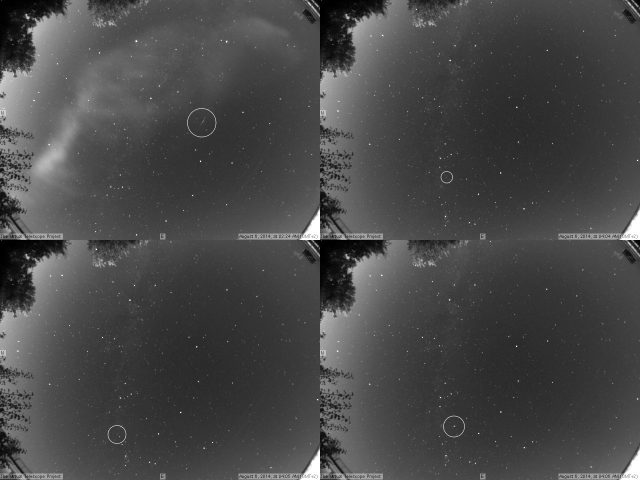 Perseids 2014: some meteors - 6 Aug. 2014