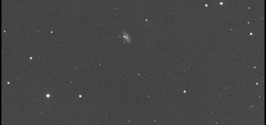 Supernova MASTER OT J120451.50+265946.6 in NGC 4080: 31 Oct. 2014