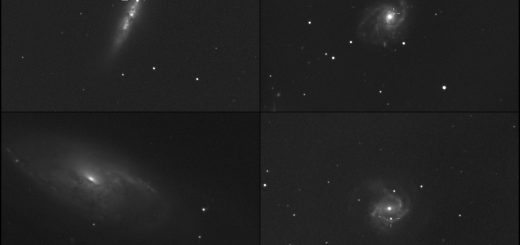 Supernovae SN 2014J in Messier 82, SN 2014L in Messier 99, SN 2014bc in Messier 106 and supernova SN 2014dt in Messier 61.