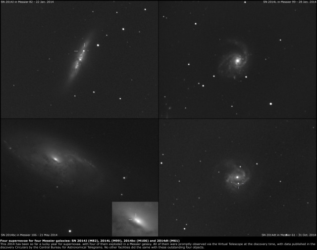 Supernovae SN 2014J in Messier 82, SN 2014L in Messier 99, SN 2014bc in Messier 106 and supernova SN 2014dt in Messier 61.
