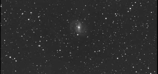 PSN J20372558+6607115 in NGC 6951. 31 Mar. 2015