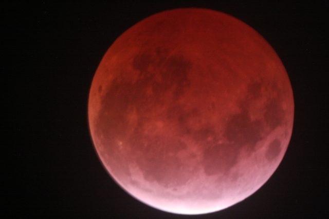 4 April 2015 lunar eclipse: the eclipse almost at maximum (Ron delvaux)