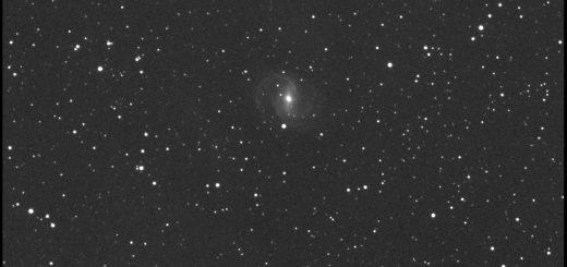 Supernova SN 2015G in NGC 6951. 14 Apr. 2015