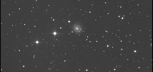 Supernova PSN J17292918+7542390 in NGC 6412: 11 July 2015