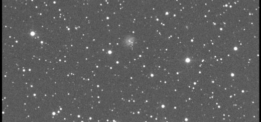 Supernova PSN J22412689+3917220 in UGC 12156: 19 Aug. 2015