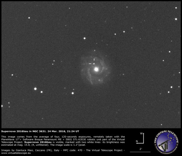 Supernova 2016bau in NGC 3631: 24 Mar. 2016