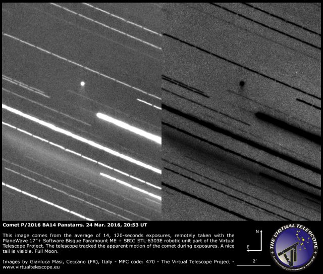 Comet P/2016 BA14 Panstarrs shows a nice tail - 24 Mar. 2016