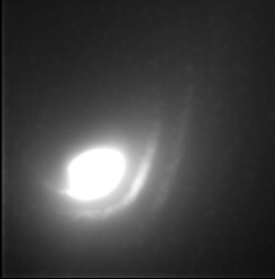 Comet C/1995 O1 Hale-Bopp: dust waves around its nucleus (31 Mar. 1997)