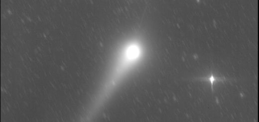 Comet C/2015 V2 Johnson and its anti-tail: 28 May 2017