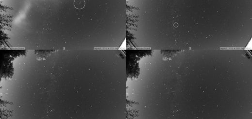 Perseid Meteor Shower 2017: online observation