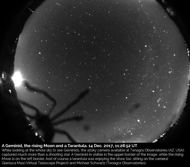 A geminid, the rising Moon and a tarantula: 14 Dec. 2017