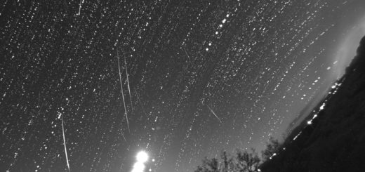 Meteors (almost all Geminids) captured on 14 Dec. 2017, during our live feed from Tenagra Observatories, AZ