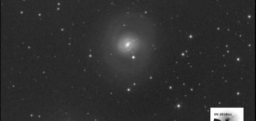 Supernova SN 2018ivc in Messier 77: 28 Nov. 2018
