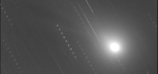 Comet C/2018 Y1 Iwamoto: 13 Feb. 2019