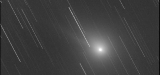 Comet C/2018 Y1 Iwamoto: 13 Feb. 2019