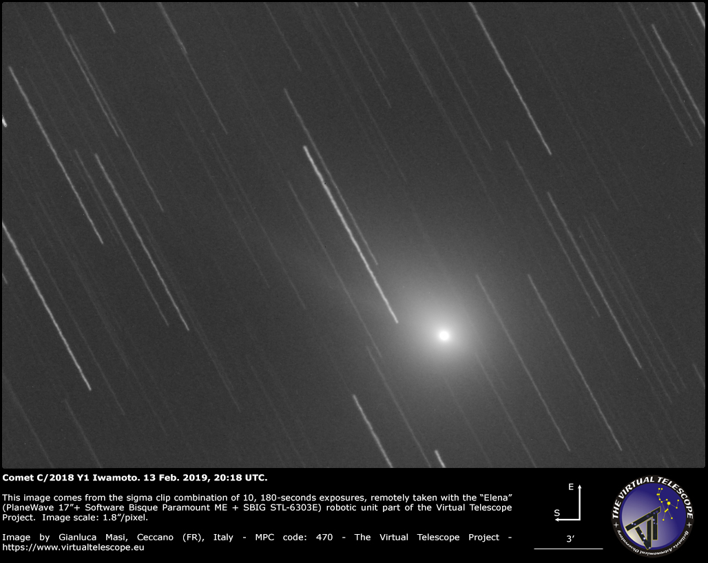 Comet C/2018 Y1 Iwamoto: 13 Feb. 2019