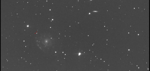Supernova SN 2019hsw in NGC 2805: 19 June 2019