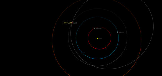 Near-Earth asteroid 2019 UG11: poster of the event